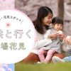 子供といく穴場花見